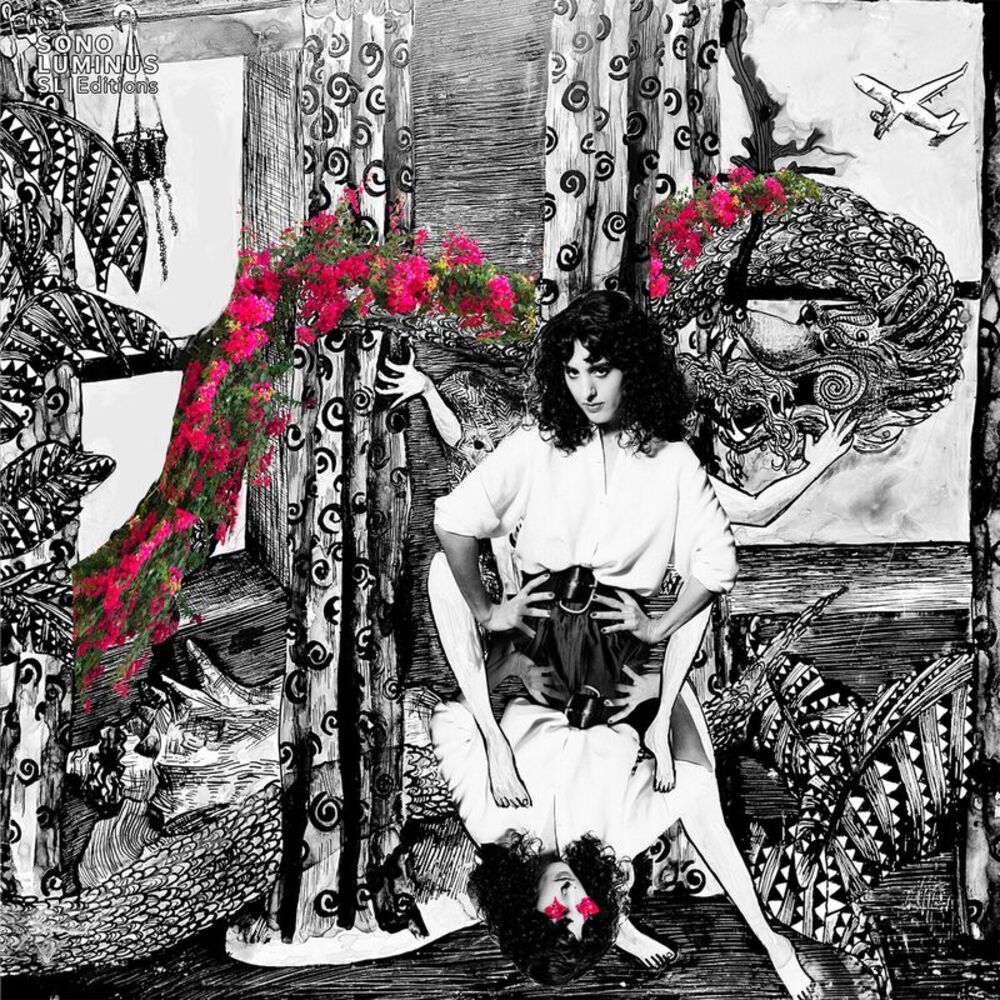 Thomas Bartlett - Sopp: The Hem & The Haw  CD